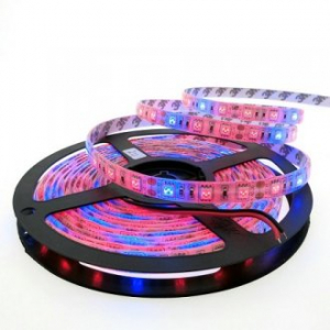 Фитолента для растений LED SMD 5050 IP20 3к:1с - 5 метров Фитолента для растений LED SMD 5050 IP20 3к:1с - 5 метров