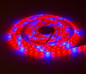 Фитолента для растений LED SMD 5050 IP65 4к:1с - 5 метров  Фитолента для растений LED SMD 5050 IP65 4к:1с - 5 метров
