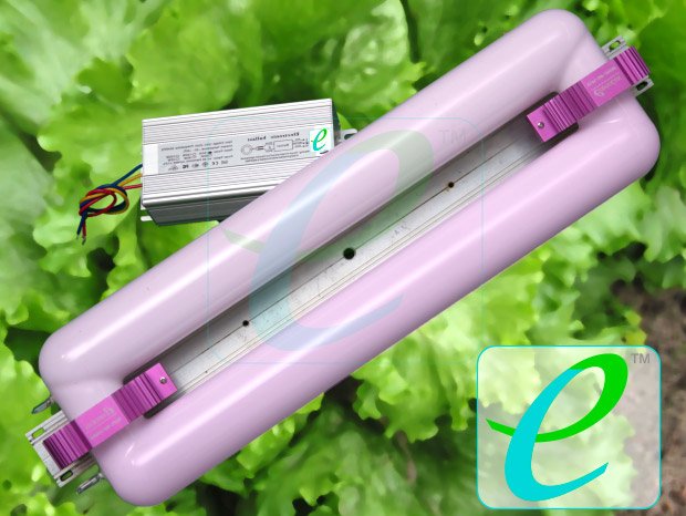 Фитолампа индукционная Юпитер 150 W+Эпра (FLORA)Фитолампа индукционная Юпитер 150 W+Эпра (FLORA)