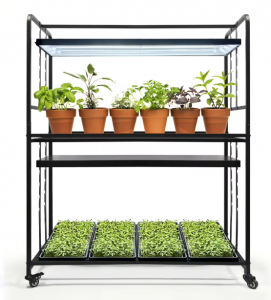 Система выращивания микрозелени Growsvet 2 по 72 WСистема выращивания микрозелени Growsvet 2 по 72 W